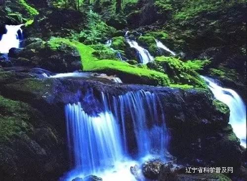 我修的可能是假仙